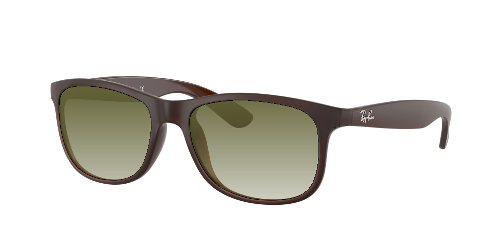 Ray Ban RB4202 607313 Andy Ray Ban RB4202 607313 Andy