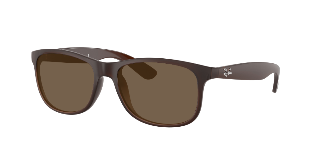 Ray Ban RB4202 607313 Andy Ray Ban RB4202 607313 Andy