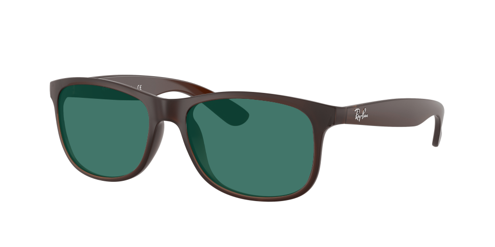 Ray Ban RB4202 607313 Andy Ray Ban RB4202 607313 Andy