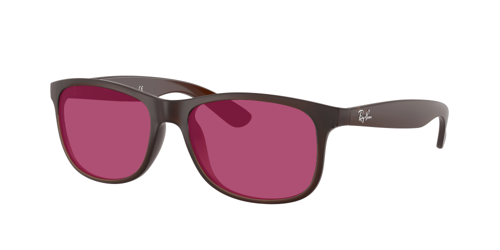 Ray Ban RB4202 607313 Andy Ray Ban RB4202 607313 Andy