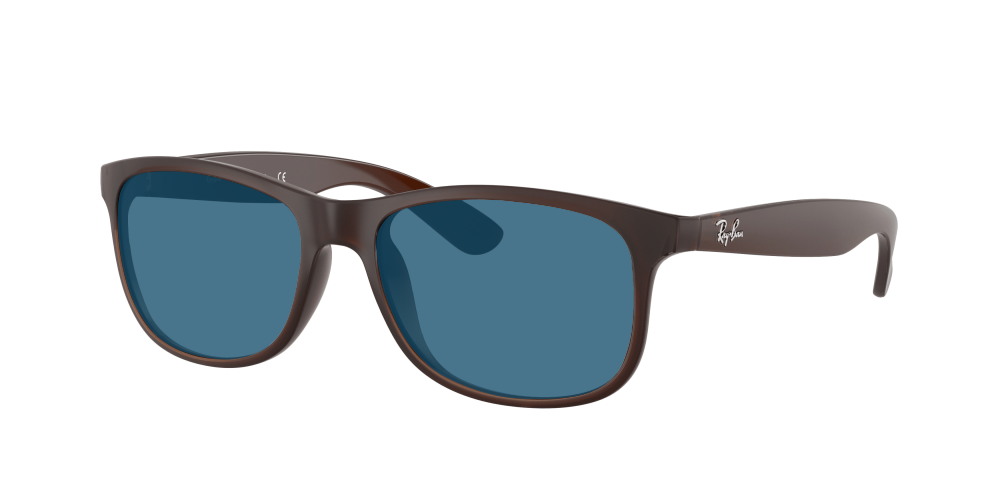 Ray-Ban RB4202 607313 Andy Ray-Ban RB4202 607313 Andy
