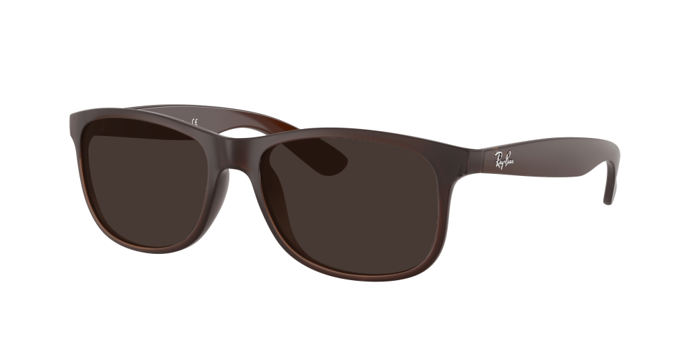 Ray Ban RB4202 607313 Andy Ray Ban RB4202 607313 Andy