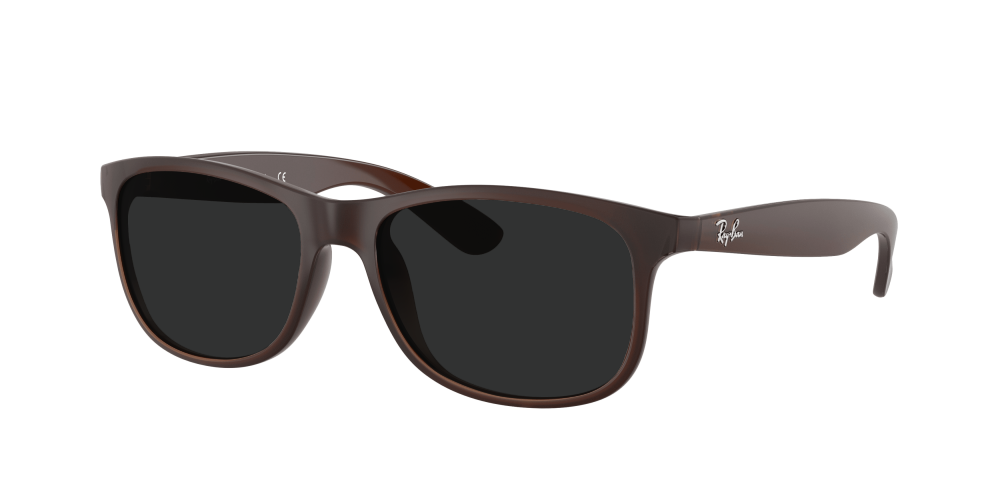 Ray Ban RB4202 607313 Andy Ray Ban RB4202 607313 Andy