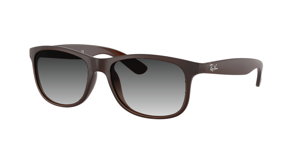 Ray-Ban RB4202 607313 Andy Ray-Ban RB4202 607313 Andy