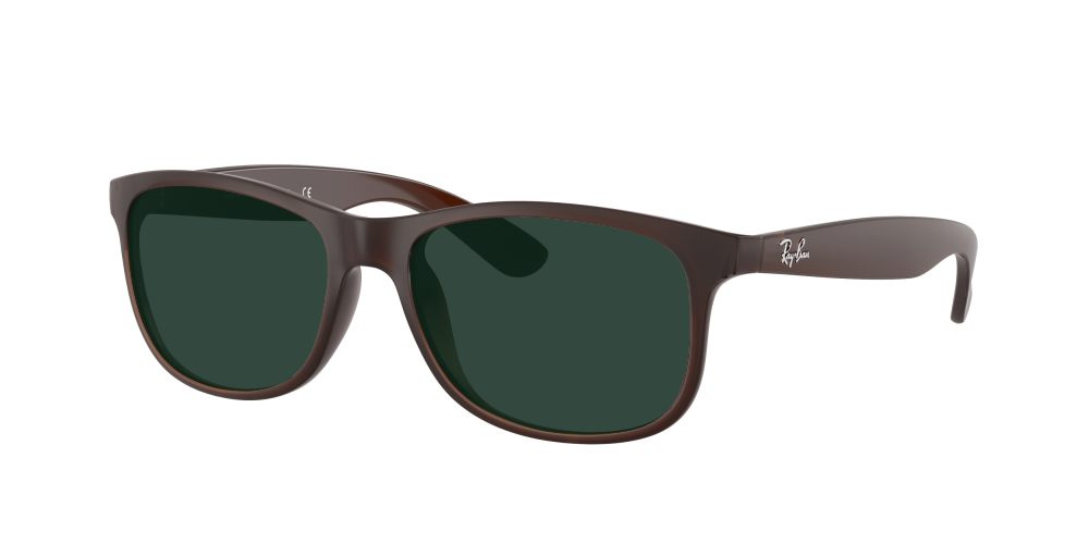 Ray Ban RB4202 607313 Andy Ray Ban RB4202 607313 Andy