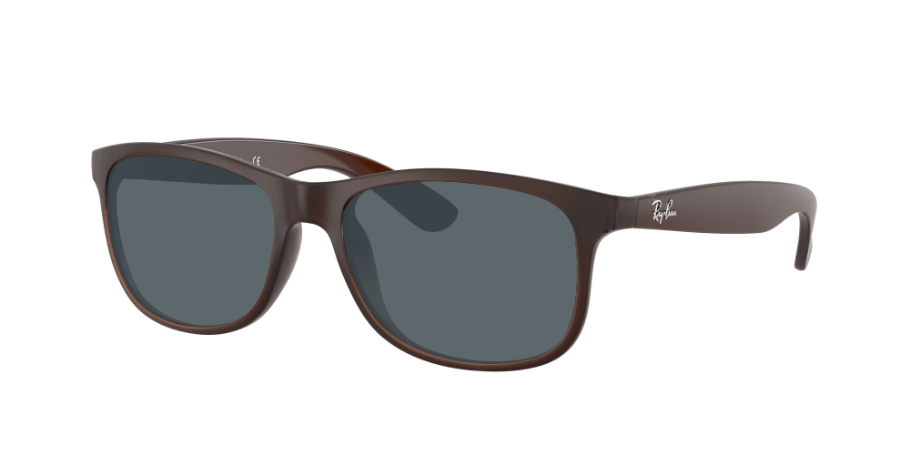 Ray Ban RB4202 607313 Andy Ray Ban RB4202 607313 Andy