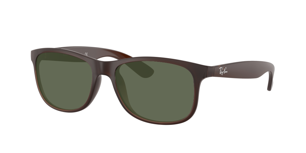 Ray Ban RB4202 607313 Andy Ray Ban RB4202 607313 Andy
