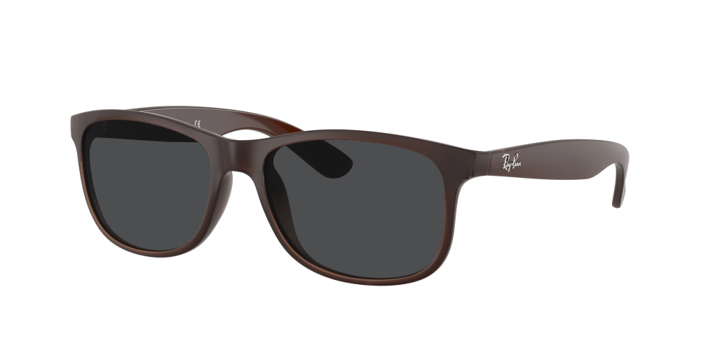Ray Ban RB4202 607313 Andy Ray Ban RB4202 607313 Andy