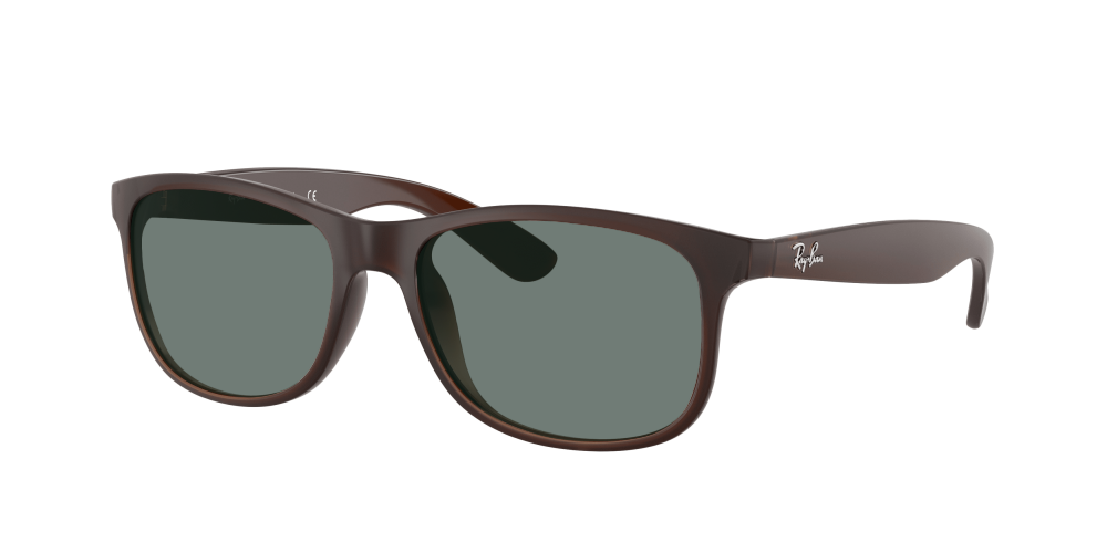 Ray Ban RB4202 607313 Andy Ray Ban RB4202 607313 Andy