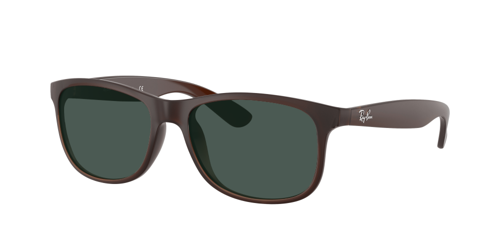 Ray Ban RB4202 607313 Andy Ray Ban RB4202 607313 Andy