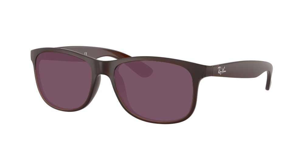 Ray Ban RB4202 607313 Andy Ray Ban RB4202 607313 Andy