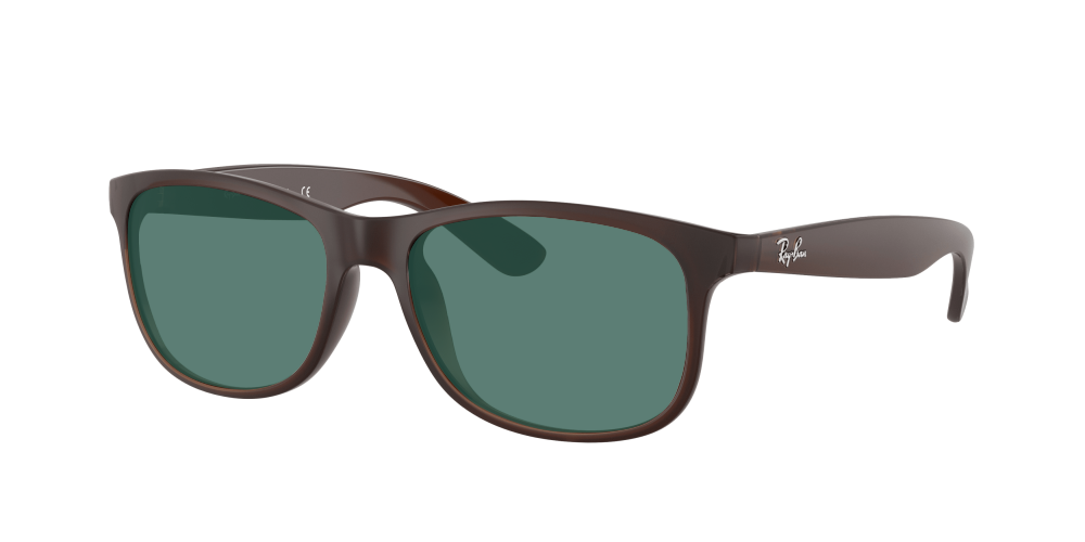 Ray-Ban RB4202 607313 Andy Ray-Ban RB4202 607313 Andy