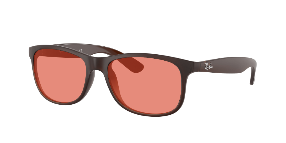 Ray Ban RB4202 607313 Andy Ray Ban RB4202 607313 Andy