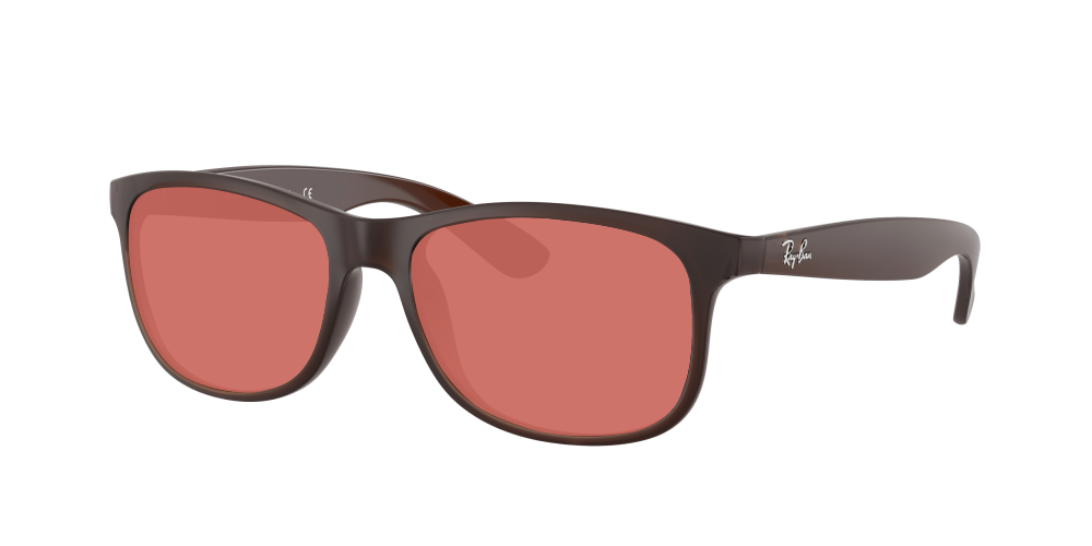 Ray Ban RB4202 607313 Andy Ray Ban RB4202 607313 Andy