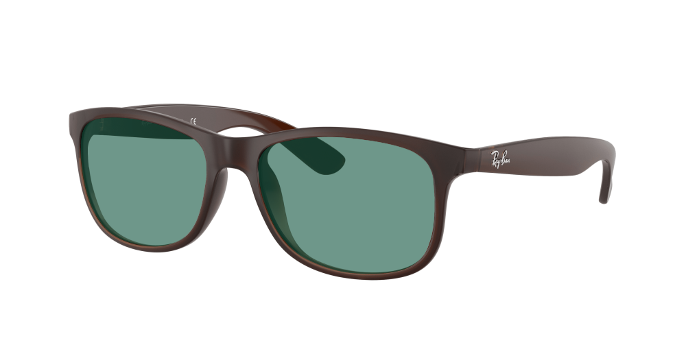 Ray Ban RB4202 607313 Andy Ray Ban RB4202 607313 Andy