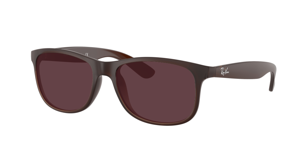 Ray Ban RB4202 607313 Andy Ray Ban RB4202 607313 Andy