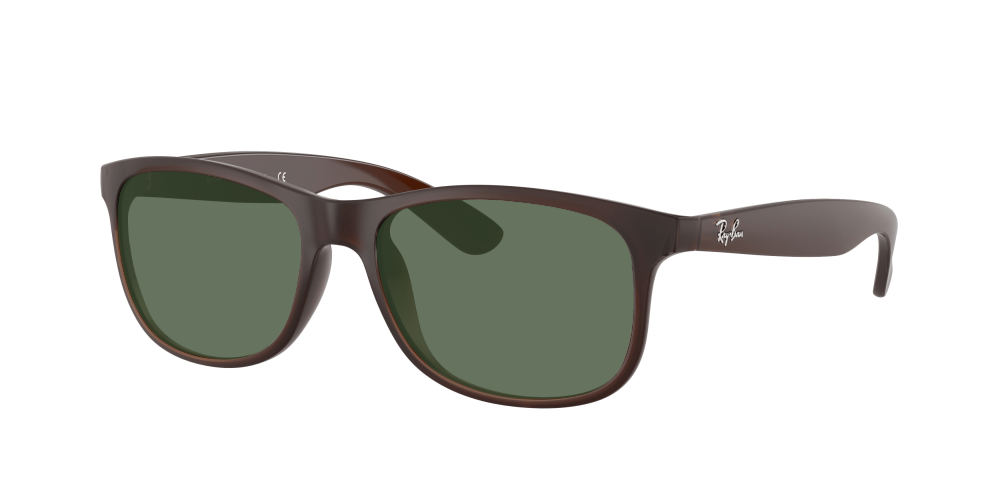 Ray Ban RB4202 607313 Andy Ray Ban RB4202 607313 Andy