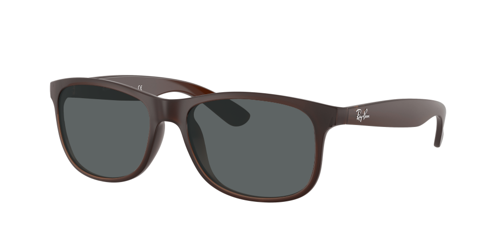 Ray Ban RB4202 607313 Andy Ray Ban RB4202 607313 Andy