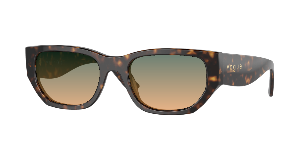 Vogue VO5586S W65673 Vogue VO5586S W65673