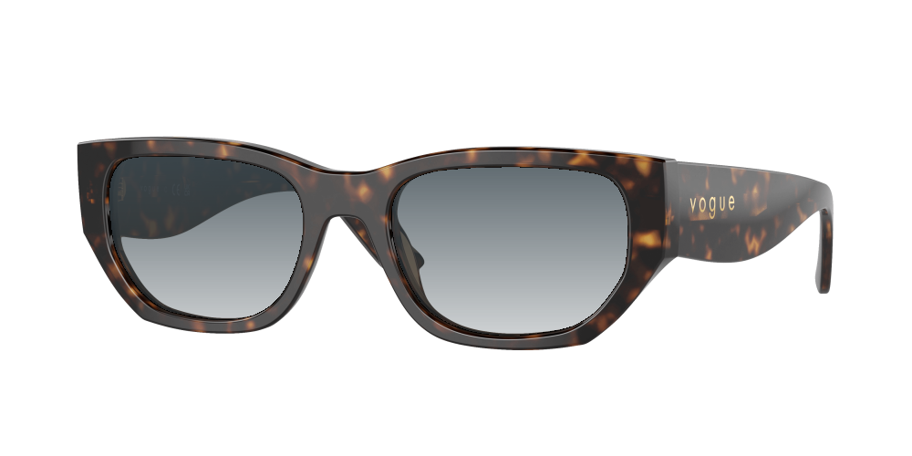 Vogue VO5586S W65673 Vogue VO5586S W65673