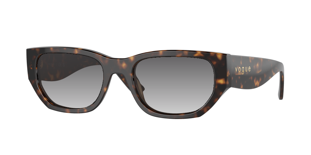 Vogue VO5586S W65673 Vogue VO5586S W65673