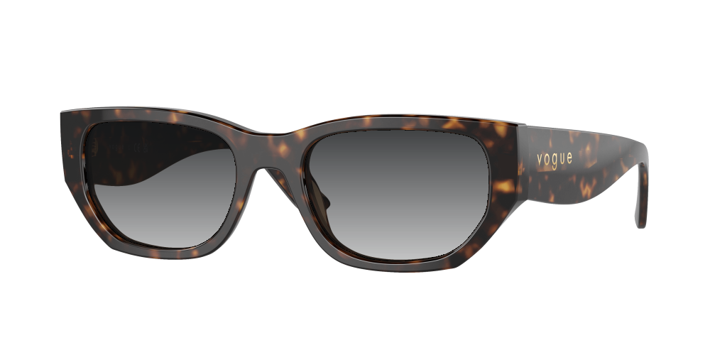 Vogue VO5586S W65673 Vogue VO5586S W65673