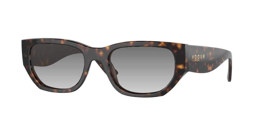 Vogue VO5586S W65673 Vogue VO5586S W65673