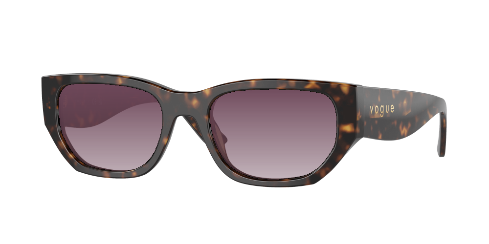 Vogue VO5586S W65673 Vogue VO5586S W65673