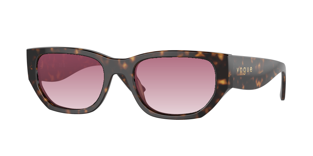 Vogue VO5586S W65673 Vogue VO5586S W65673