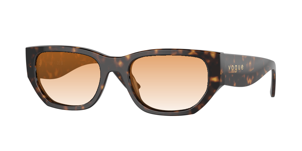 Vogue VO5586S W65673 Vogue VO5586S W65673