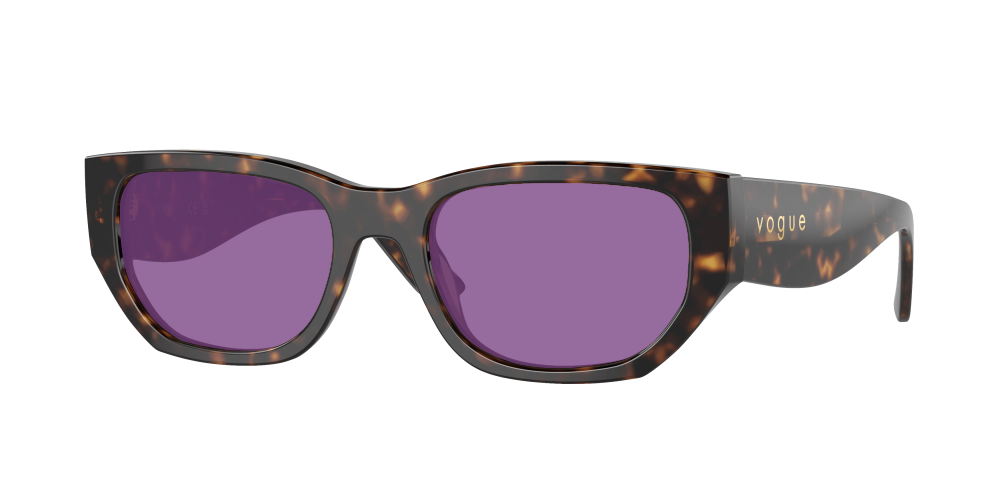 Vogue VO5586S W65673 Vogue VO5586S W65673