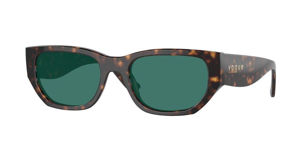 Vogue VO5586S W65673 Vogue VO5586S W65673