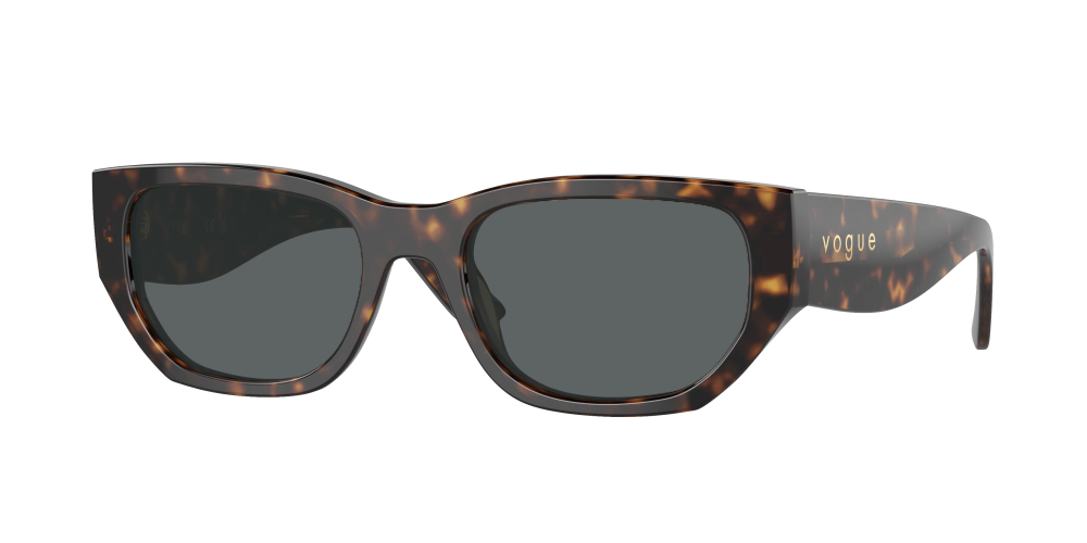 Vogue VO5586S W65673 Vogue VO5586S W65673