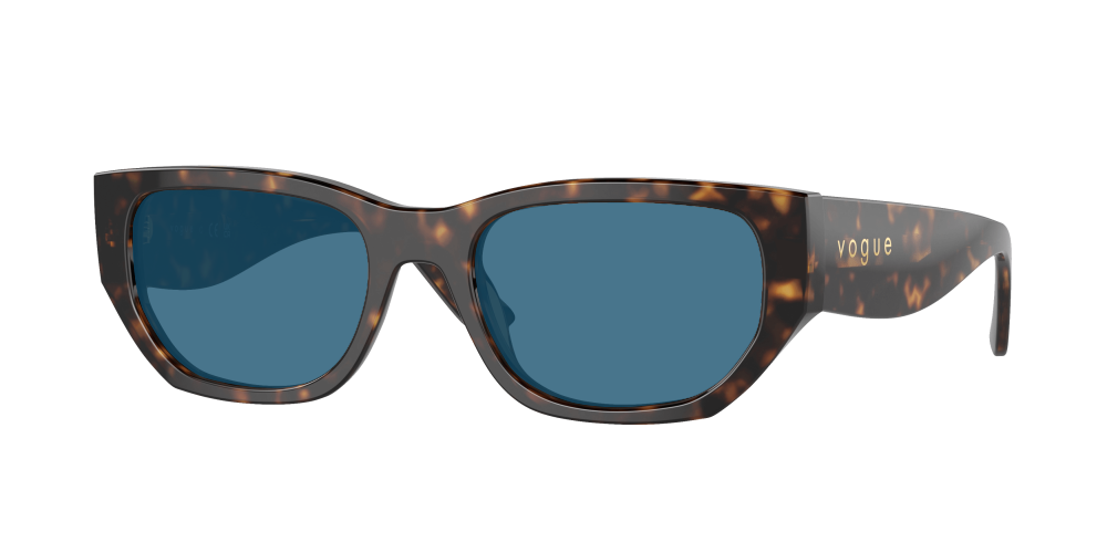 Vogue VO5586S W65673 Vogue VO5586S W65673