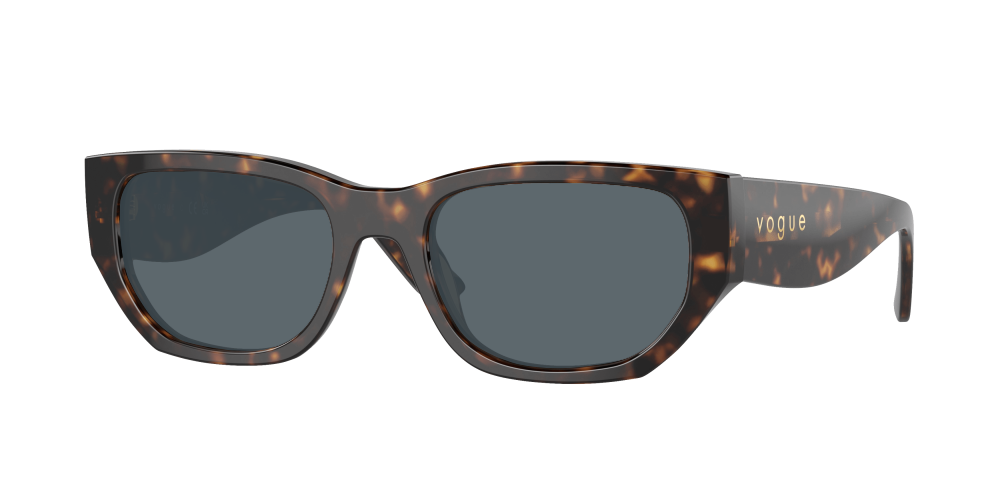 Vogue VO5586S W65673 Vogue VO5586S W65673