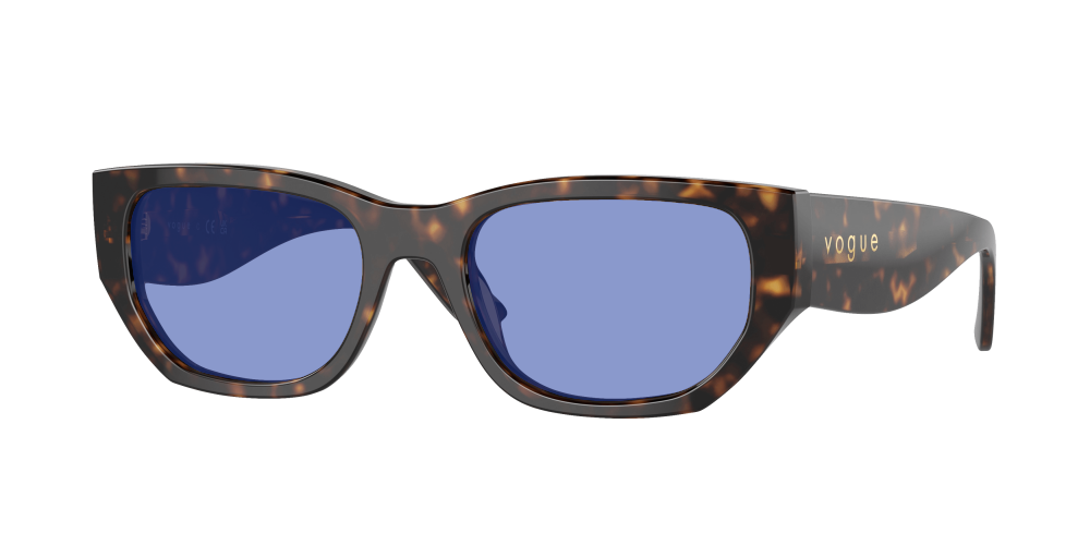 Vogue VO5586S W65673 Vogue VO5586S W65673