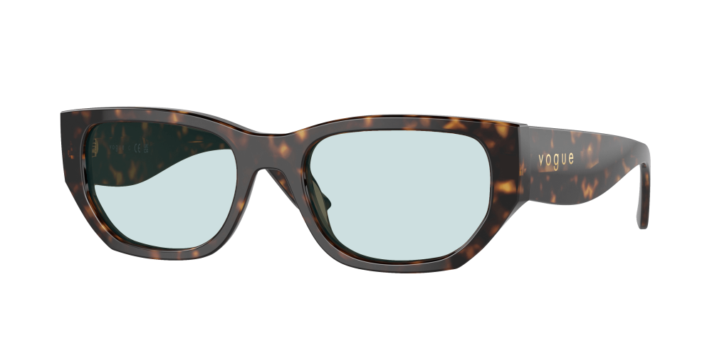 Vogue VO5586S W65673 Vogue VO5586S W65673