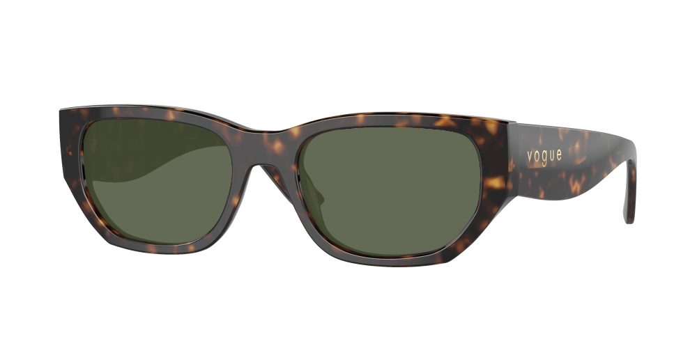 Vogue VO5586S W65673 Vogue VO5586S W65673