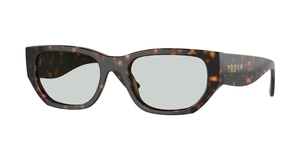 Vogue VO5586S W65673 Vogue VO5586S W65673