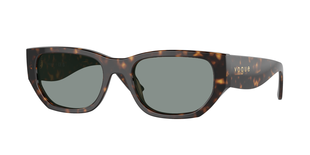 Vogue VO5586S W65673 Vogue VO5586S W65673