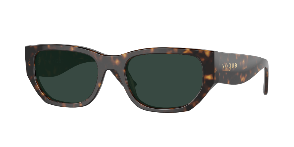 Vogue VO5586S W65673 Vogue VO5586S W65673