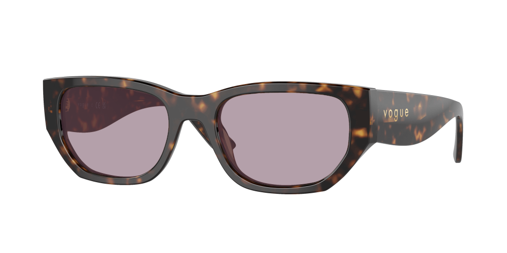 Vogue VO5586S W65673 Vogue VO5586S W65673