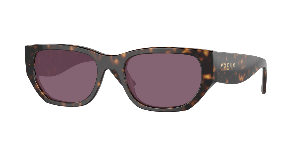 Vogue VO5586S W65673 Vogue VO5586S W65673