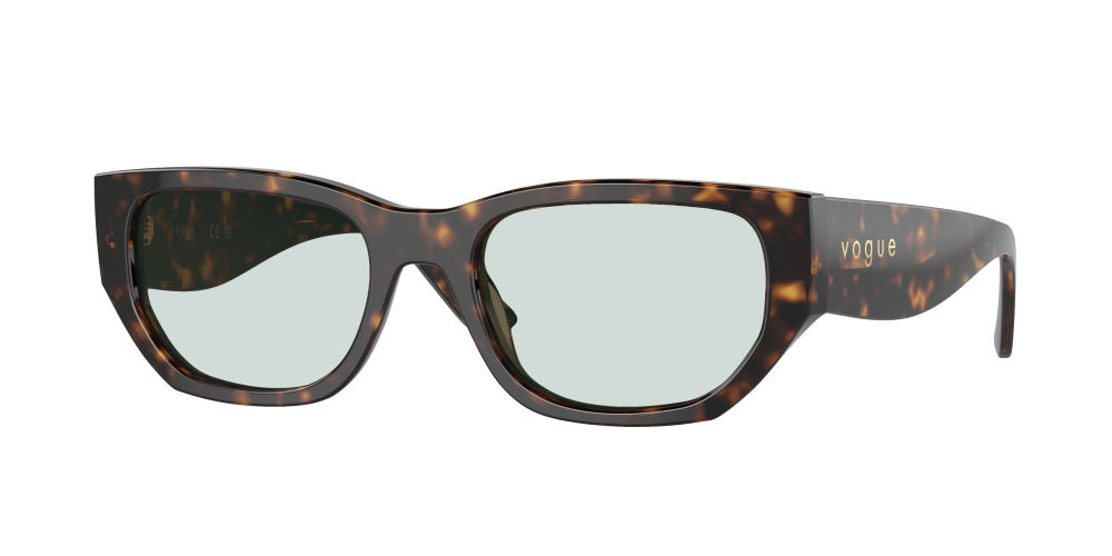 Vogue VO5586S W65673 Vogue VO5586S W65673