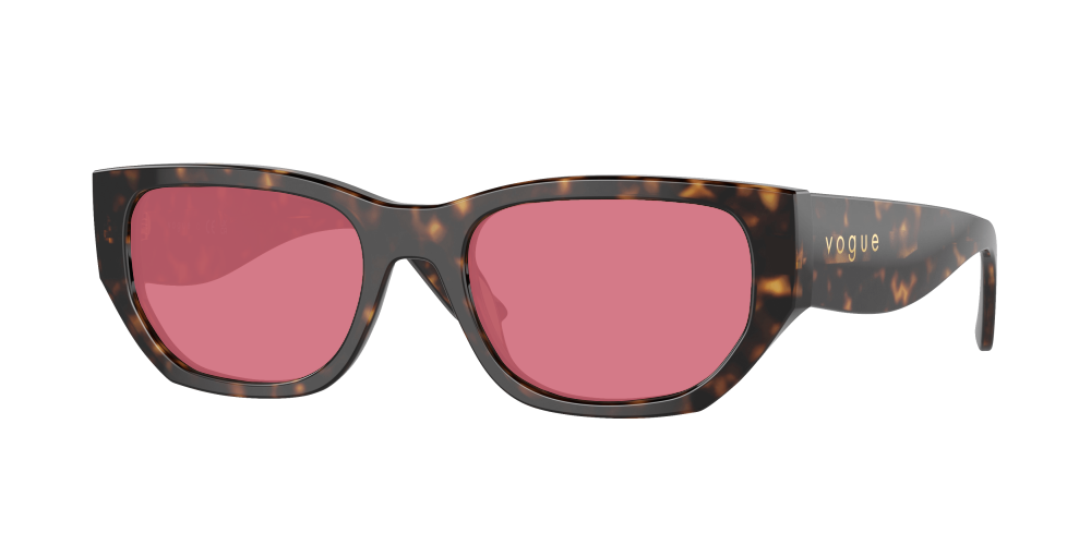 Vogue VO5586S W65673 Vogue VO5586S W65673