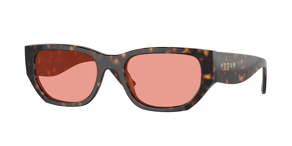 Vogue VO5586S W65673 Vogue VO5586S W65673