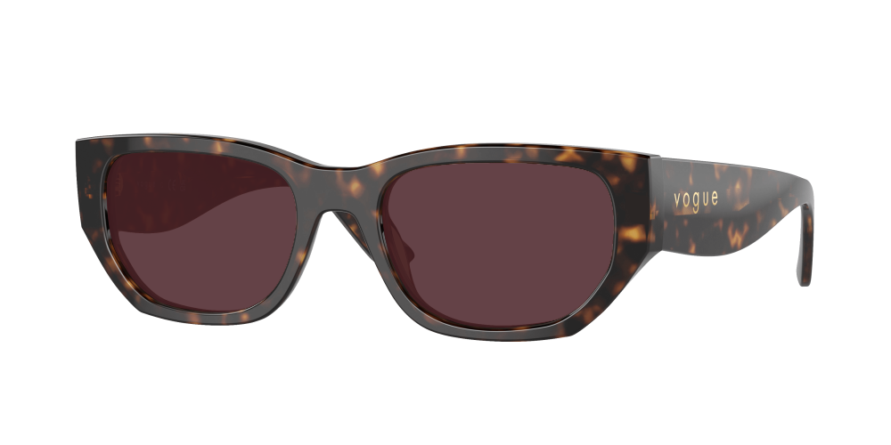 Vogue VO5586S W65673 Vogue VO5586S W65673