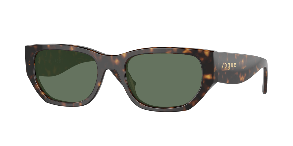 Vogue VO5586S W65673 Vogue VO5586S W65673