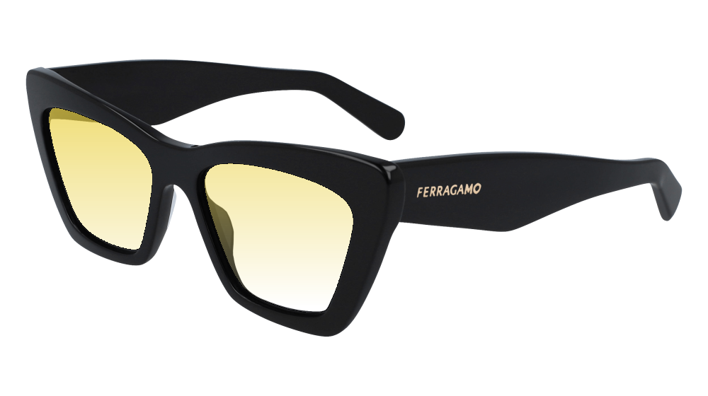 Salvatore Ferragamo SF929SN 001 Salvatore Ferragamo SF929SN 001