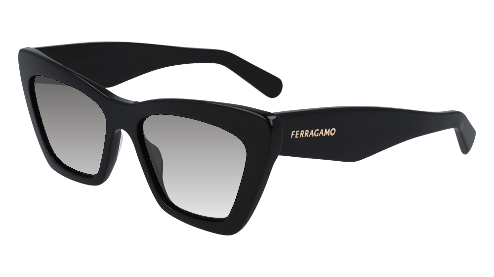 Salvatore Ferragamo SF929SN 001 Salvatore Ferragamo SF929SN 001